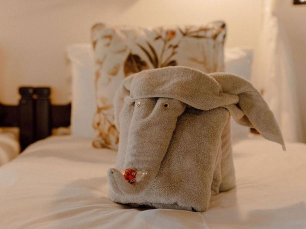 Nyala Safari Lodge โฮดสปรูท ภายนอก รูปภาพ